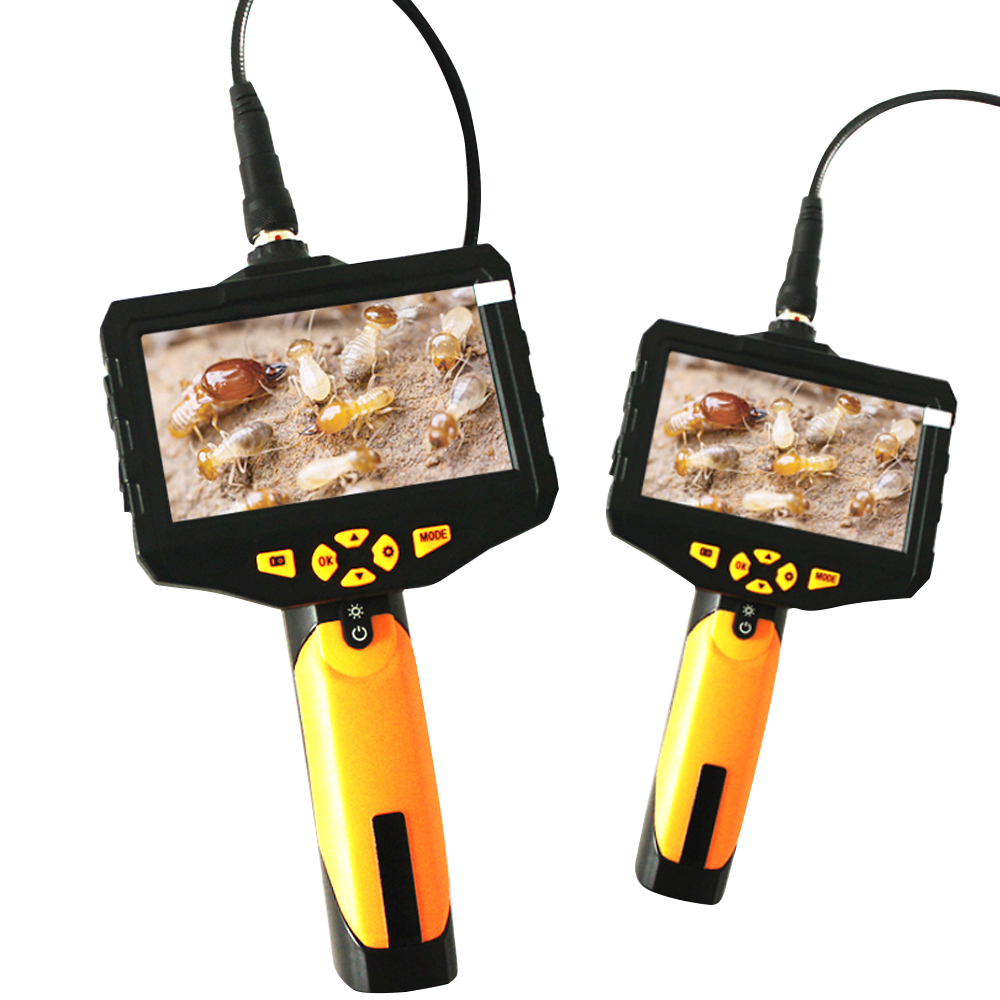 Power Tools Video - Video Termite Detector Termites Hazard Monitoring