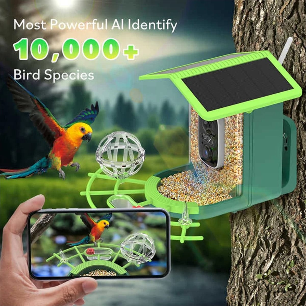 ABPP Smart Bird Feeder Camera  - Power Tools Video ulasan dan harga
