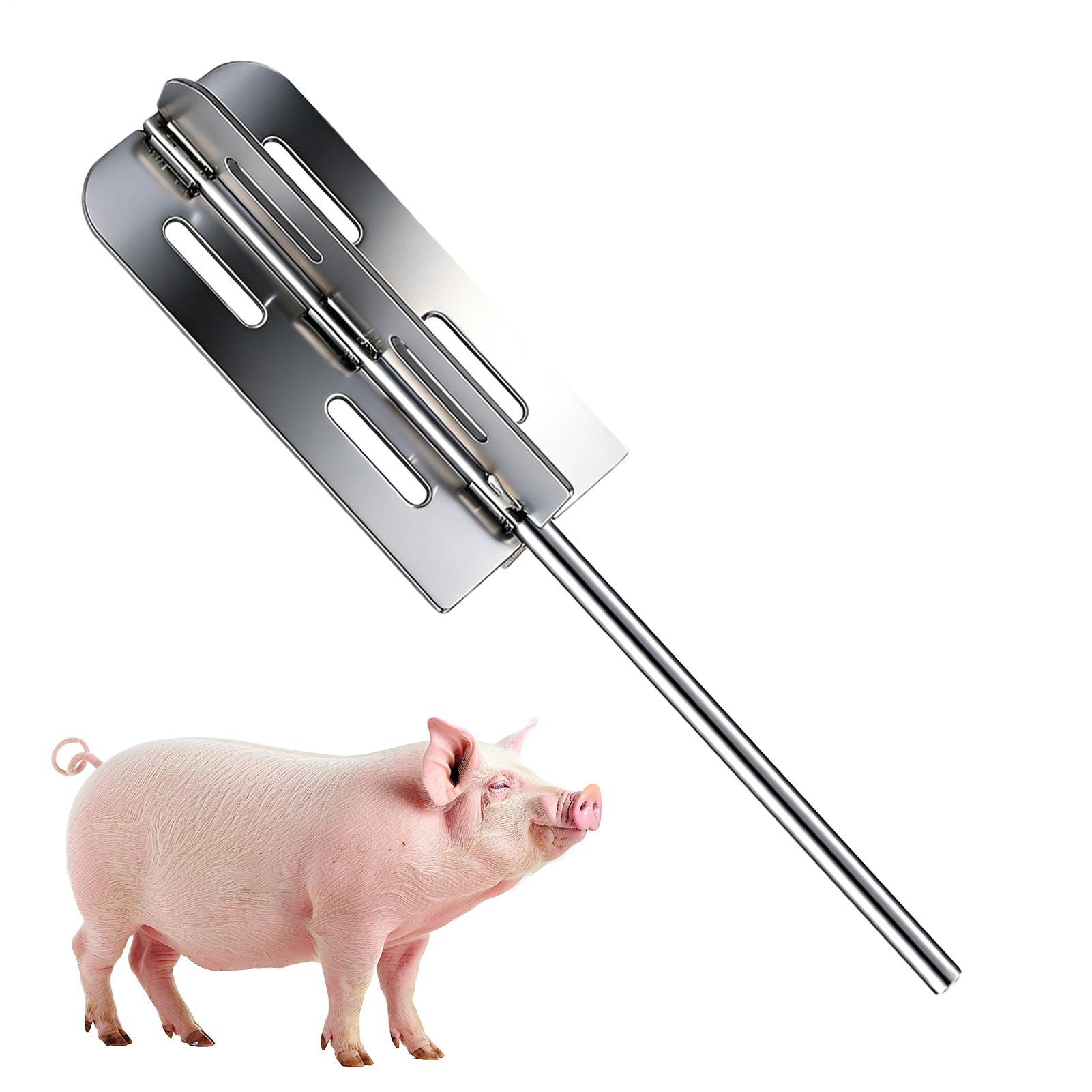Hog Hair Removal Tool Stainles - Power Tools Hardware ulasan dan harga