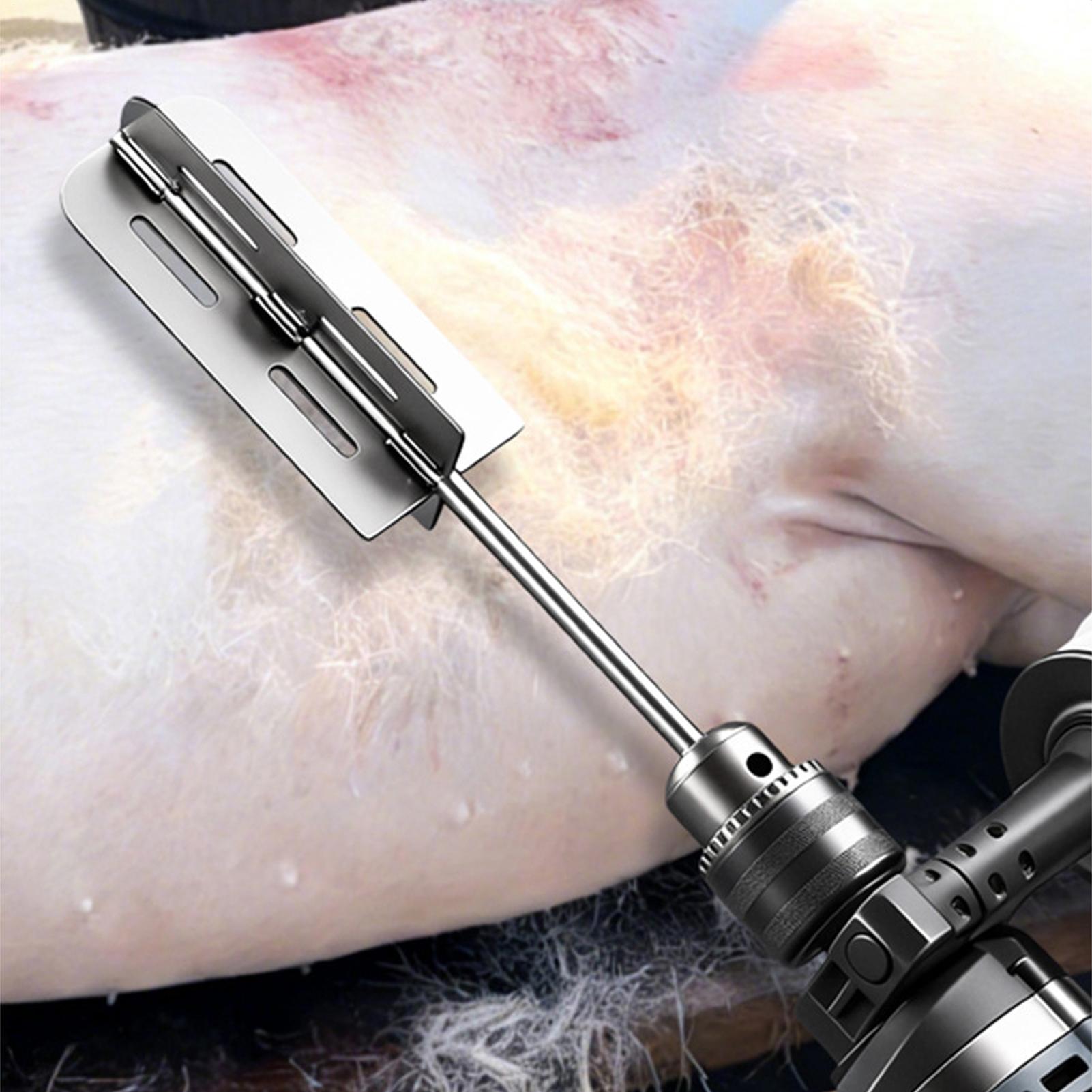 Hog Hair Removal Tool Stainles - Power Tools Hardware ulasan dan harga